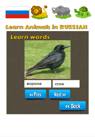 Learn Animals in Russian Language screenshot 4