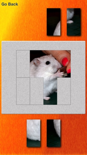 Hamsters And Puzzles(圖3)-速報App
