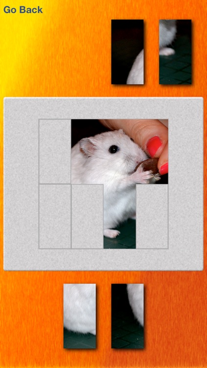 Hamsters And Puzzles