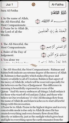 Quran Commentary - English Tafsir Uthmani iPhone image 1