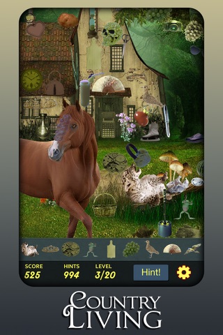 Hidden Object - Country Living Premium screenshot 2