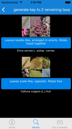 An interactive flora of the Southern Carnic Alps (Ampezzo-Sa(圖4)-速報App