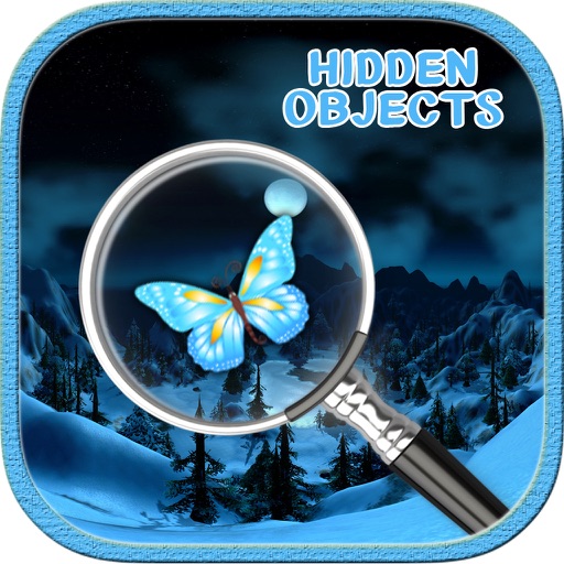 A Real World Hidden Object