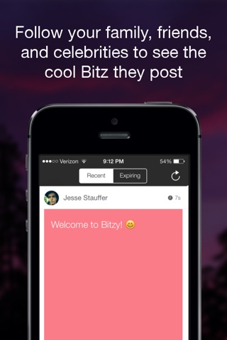 Bitzy screenshot 2