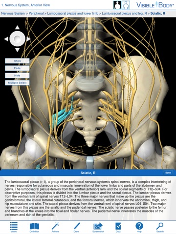 Brain & Nervous System Anatomy for Springer (Hersenen & zenuwstelsel anatomie voor Springer) screenshot 4