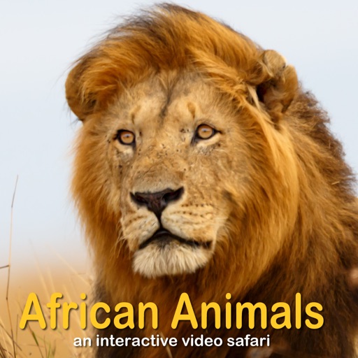 African Animals - Interactive Video Safari icon
