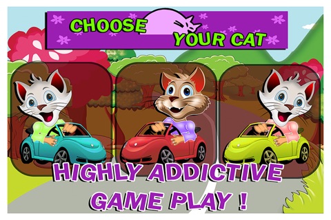 Lil Bub Vs Coonel Meow Mad Racing Car Challenge Free screenshot 2