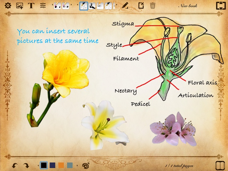 ePaper - Sketch, Write, Paint and Take Notes on a Digital Paper Notebook