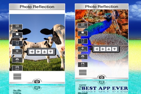 Amazing Photo Reflection Tool screenshot 3