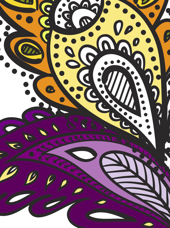 Paint and color mandalas Coloring book for adults