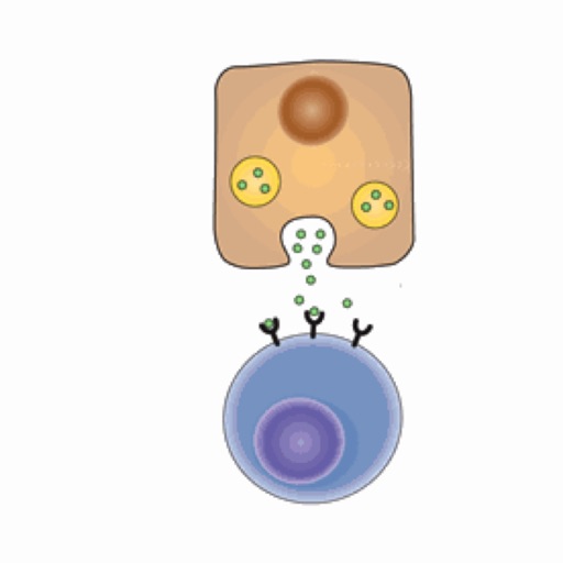 Biochemistry Lippincott’s Illustrated Q&A Review Icon