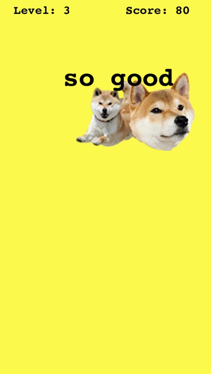 doge game