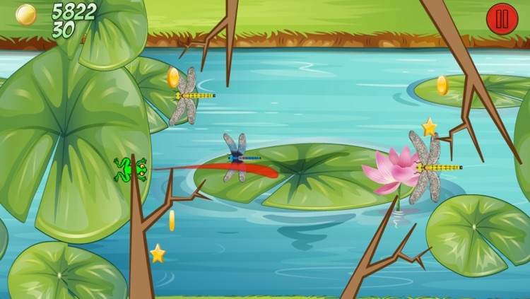 Toad and Frog Games - The Tiny Frogs Swamp Escape Game