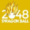 2048 Dragon Ball Version