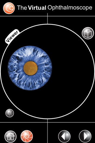 The Virtual Ophthalmoscope screenshot 3