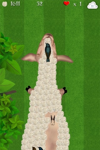 Wooly Sheep Shave : The Shepherd Shaving Lamb Day for Wool Harvest - Free screenshot 4