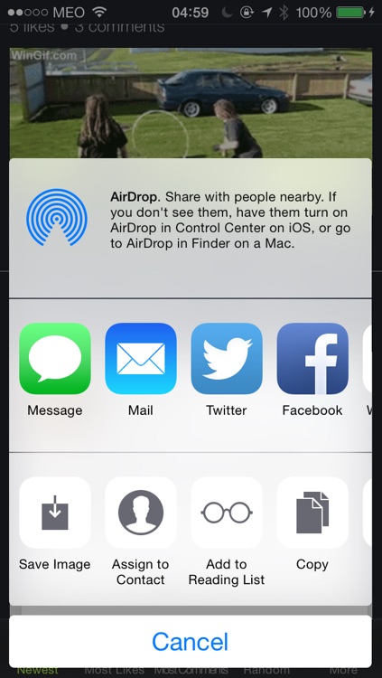 iDamnLOL screenshot-3