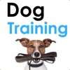 Dog Training Video Tutorials: Basics, Tricks & More!