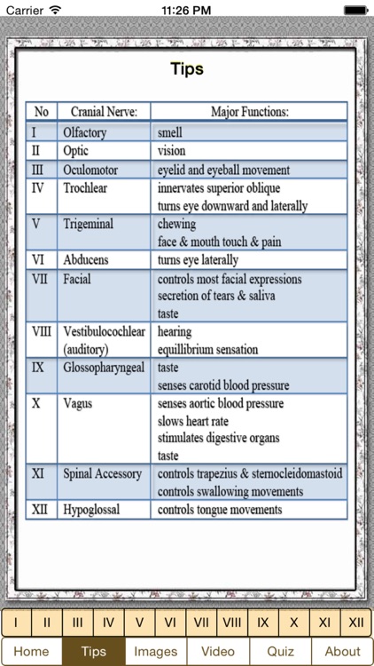 Cranial Nerves Plus