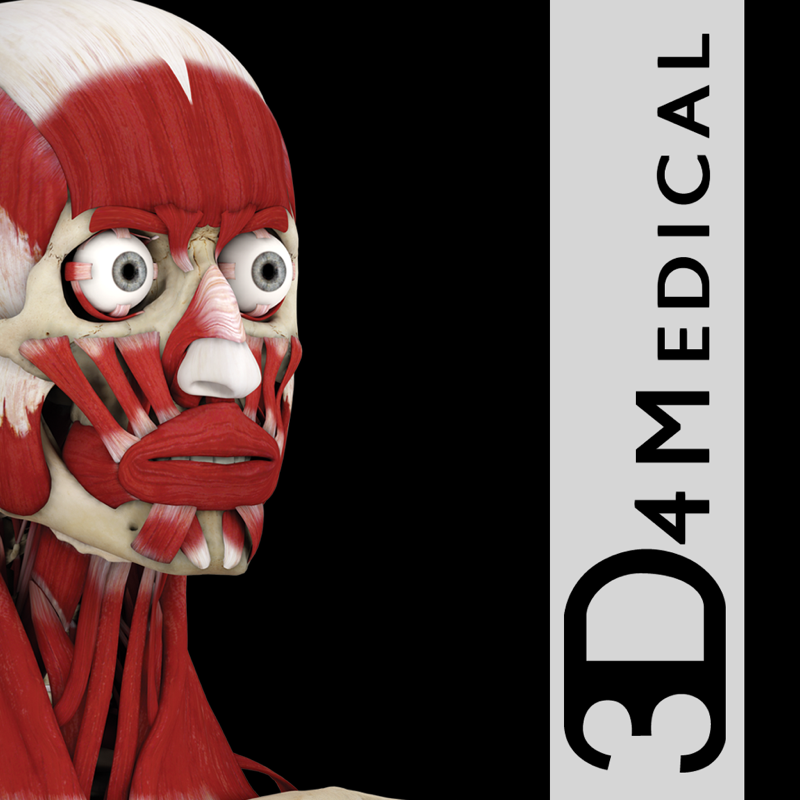 Muscle System Pro III - iPhone Edition