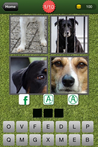 4 Pics 1 Animal Free - Guess the Animal from the Pictures screenshot 2