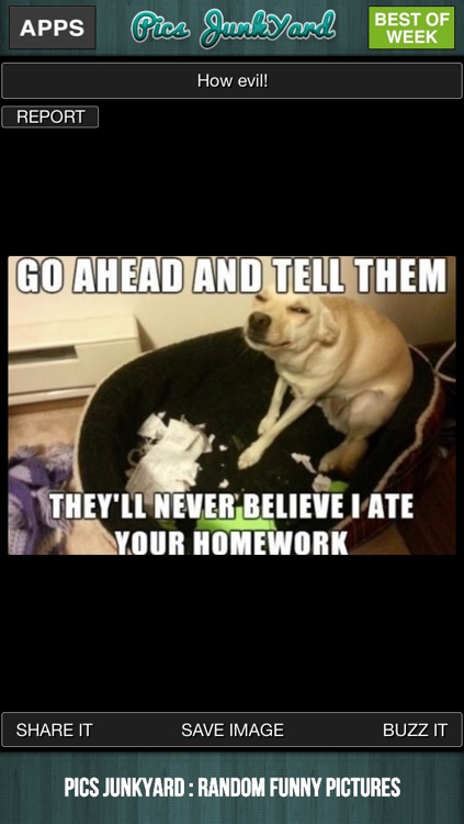 Pics JunkYard : Funny Pictures and Gifs
