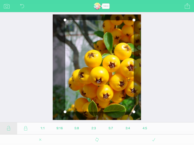 ‎Tint Mint - Instagram 和 Facebook 圖片專用的高解析度瀘鏡效果相片編輯器 Screenshot