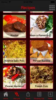 persian food recipes problems & solutions and troubleshooting guide - 1