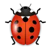 iBug - Live wallpaper иконка