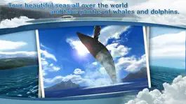 Game screenshot REAL WHALES  Find the cetacean. mod apk