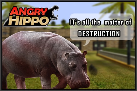 Angry Hippo screenshot 2