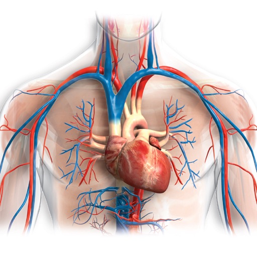 Miniatlas Acute Coronary Syndrome