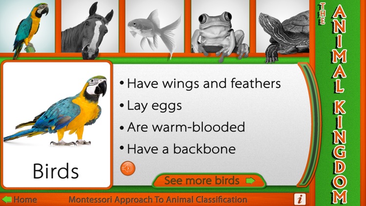 Montessori Approach to Zoology - The Animal Kingdom (Vertebrates)