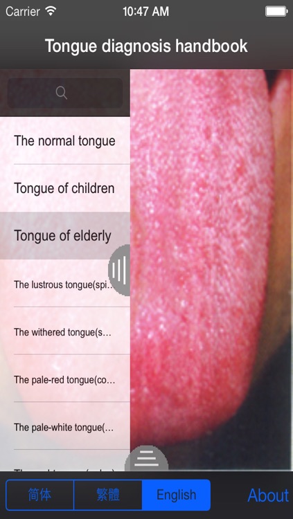 Tongue diagnosis handbook