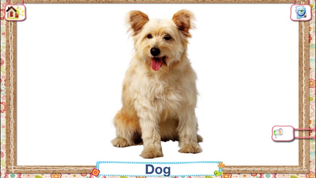 Flashcards Playtime for Toddlers Babies and Kids HD(圖3)-速報App