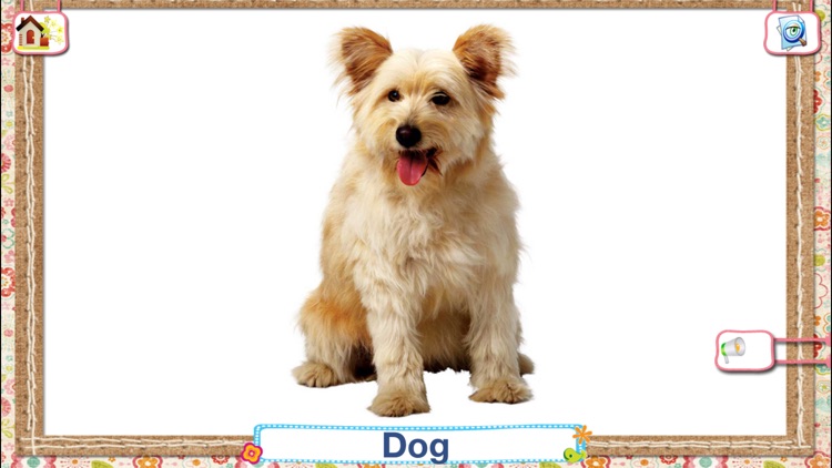 Flashcards Playtime for Toddlers Babies and Kids HD