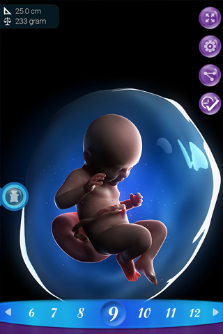 PregApp screenshot 4