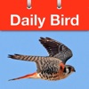 Daily Bird - the beautiful bird a day calendar app - iPhoneアプリ