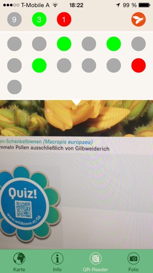 Unsere Wildbienen(圖4)-速報App