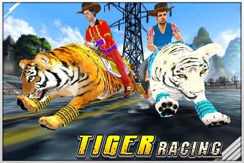 Tiger Racing : Simulator Race screenshot 2