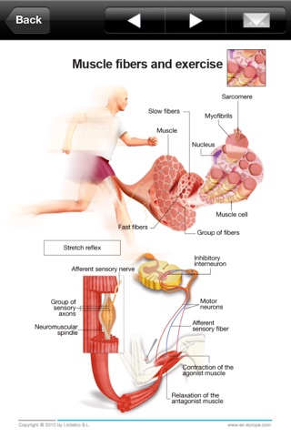 Miniatlas Sports Injuries screenshot 3