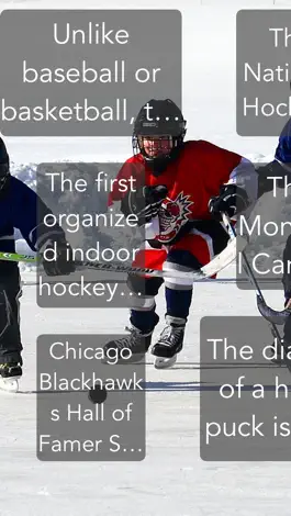 Game screenshot Hockey Trivia App mod apk
