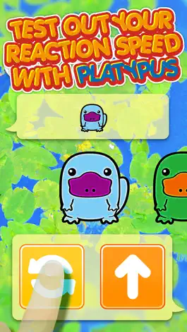 Game screenshot Platypus Dojo - Best Animals Pocket Games Play After School ( Fun For All Class Student ) apk