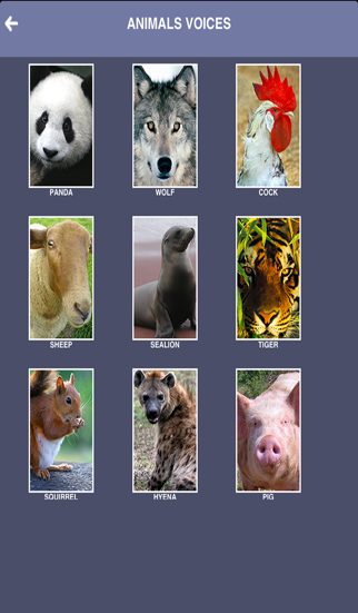Screenshot #2 pour Cris d'animaux - Parler avec votre animale, application amusante pour les adultes et les enfants