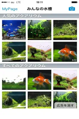 Game screenshot Pocket Aquarium【みんなの水槽】 mod apk