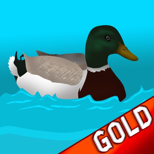 Tiny Plastic Duck Racing : Summer Water Race to Win - Gold Edition icon