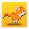 Cool Cat Adventure Race A Cute Kitty Jump Racing Game