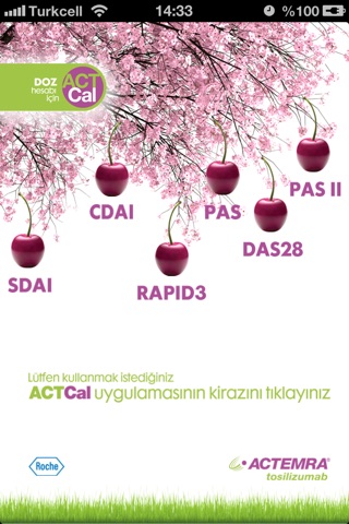 ActCal screenshot 2