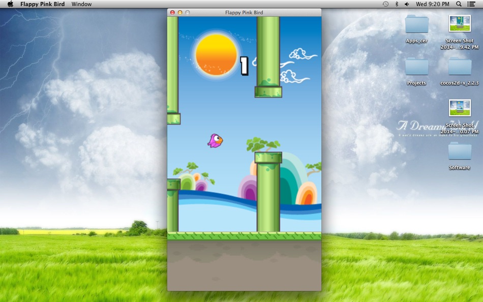 Flappy Pink Bird - 1.0 - (macOS)