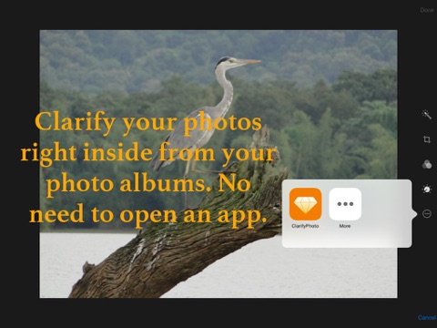 Screenshot #4 pour ClarifyPhoto